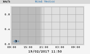Wind Vector